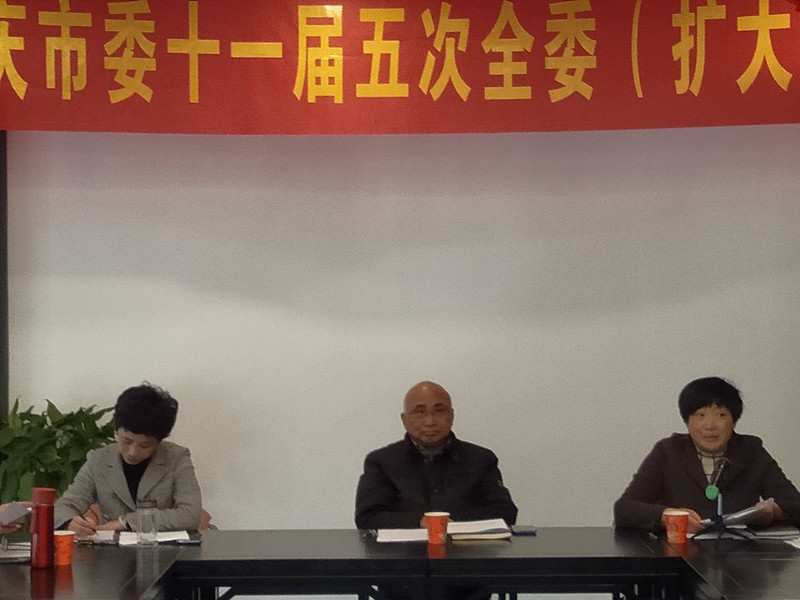民建安庆市委十一届五次全委(扩大)会议召开