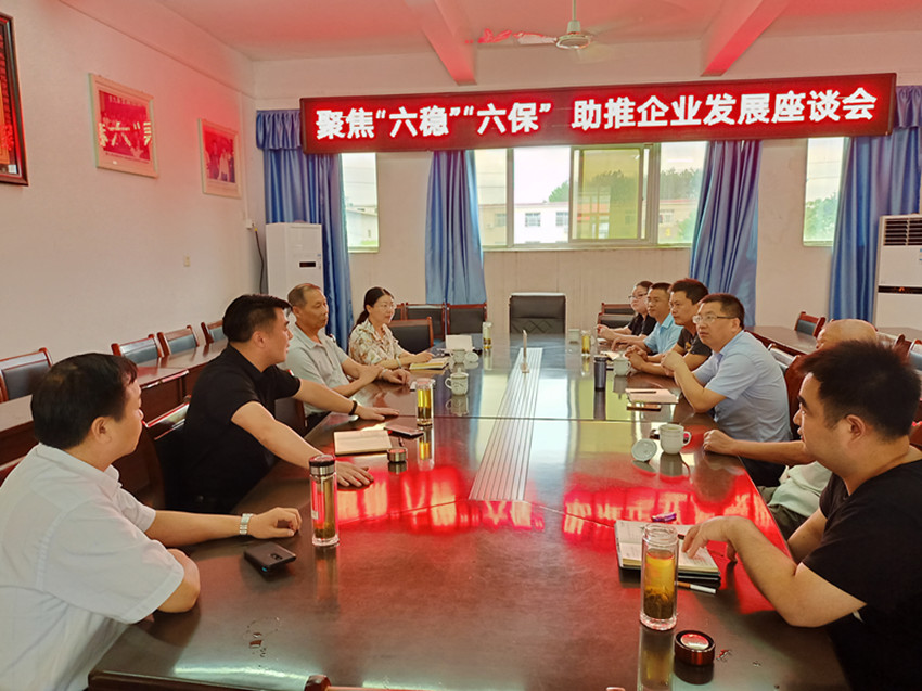 聚焦“六稳”“六保”  助推企业发展——民建安庆市委直属二支部、直属六支部联合开展专题调研活动