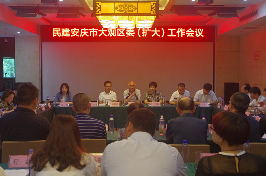 民建安庆市大观区委召开区委（扩大）会议