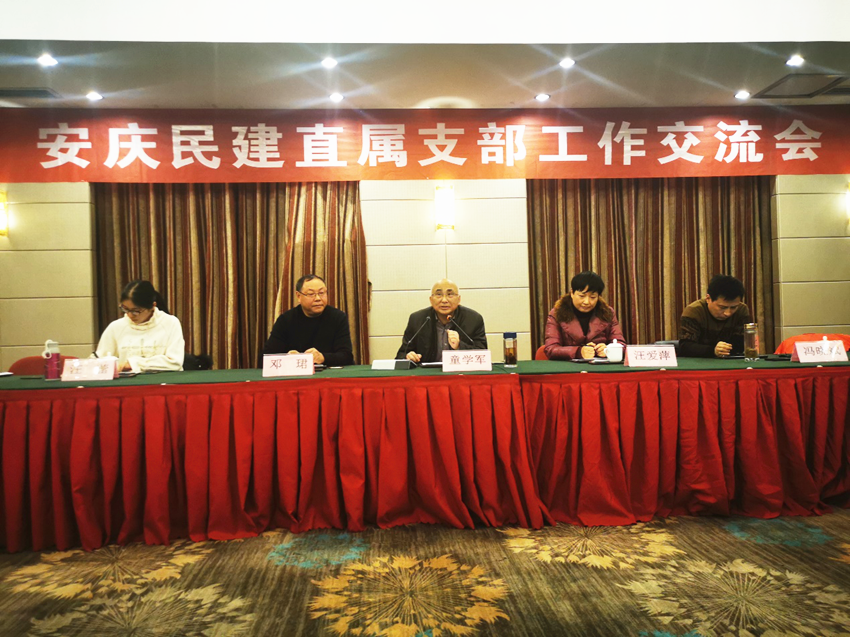 安庆民建直属支部工作研讨会在岳西召开