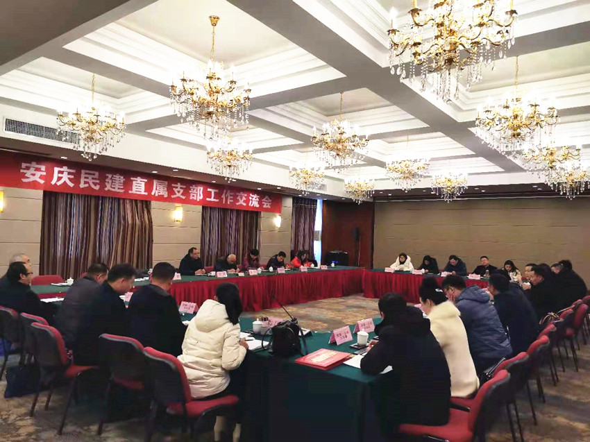 安庆民建直属支部工作研讨会在岳西召开
