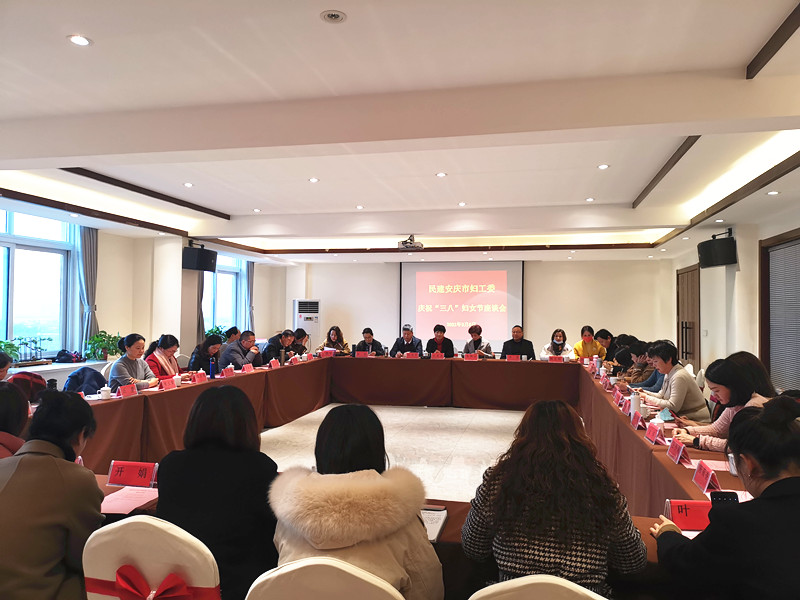 民建安庆市妇工委召开庆祝“三八”妇女节座谈会