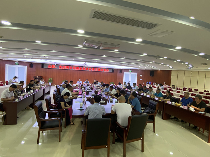 合肥、安庆两市民建企业家会员举行“学党史、红色记忆”主题活动