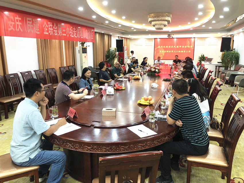 安庆（民建）企联会第三小组走访理事企业