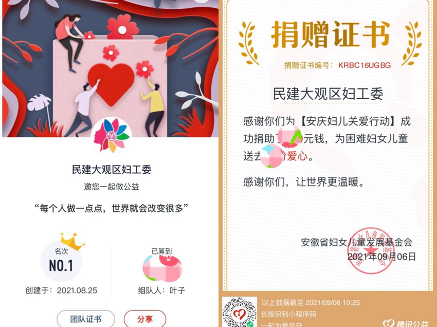 大观区民建妇工委组织会员积极参加“99公益日”网络爱心活动