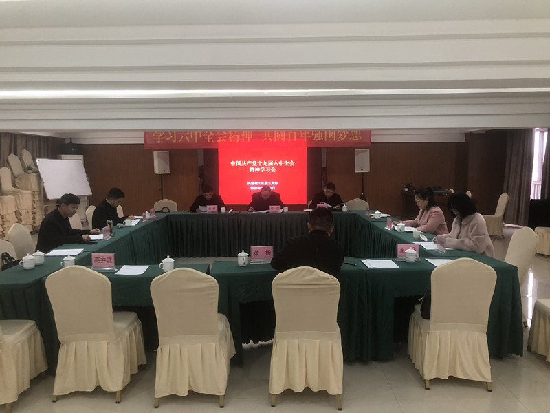 民建安庆市迎江三支部学习中共十九届六中全会精神