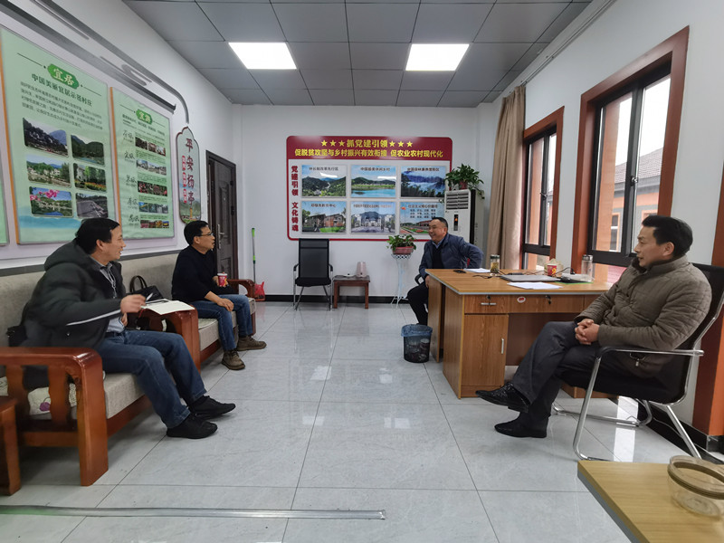 民建安庆市委赴定点帮扶村开展春节慰问