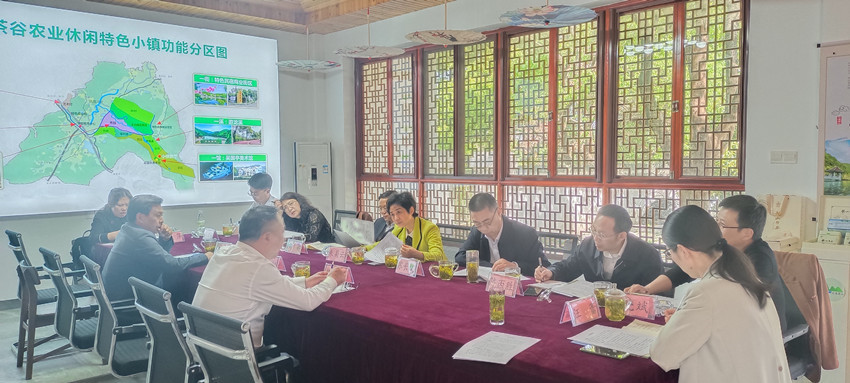 民建安庆市委联合市人大科教文卫工委、宗侨外工委赴五横乡杨亭村开展乡村振兴调研