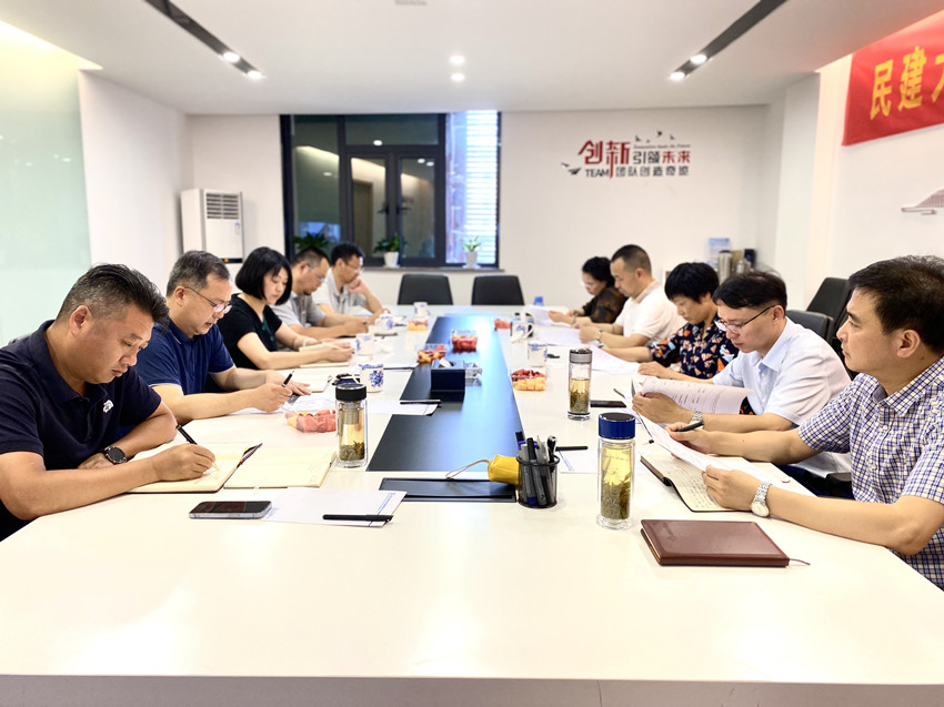 民建大观区委召开年中工作务虚会