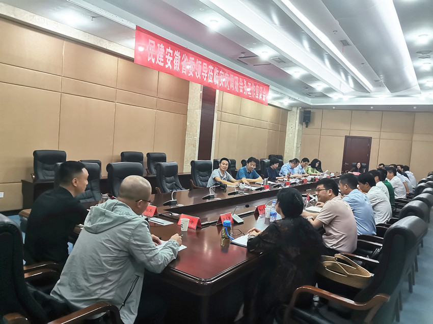 李霞率队赴安庆调研民建市级组织建设