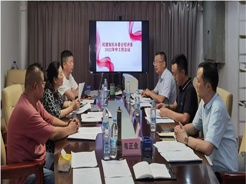 民建安庆市委经济工作委员会召开年中工作会