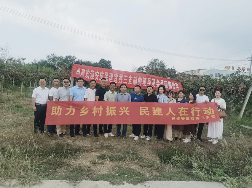 民建宜秀区委三支部 开展“助力乡村振兴，民建人在行动”调研活动