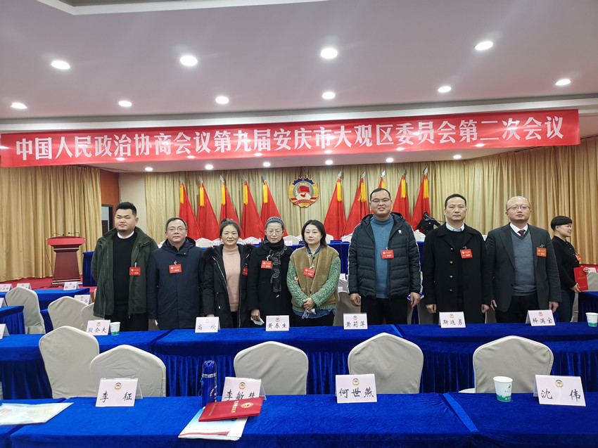 自当扬帆破浪，还需策马扬鞭 ————大观民建会员参加区政协九届二次会议