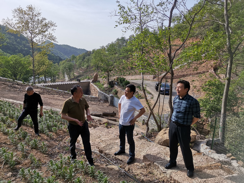 民建安庆市委会赴五横乡杨亭村开展乡村振兴帮扶工作