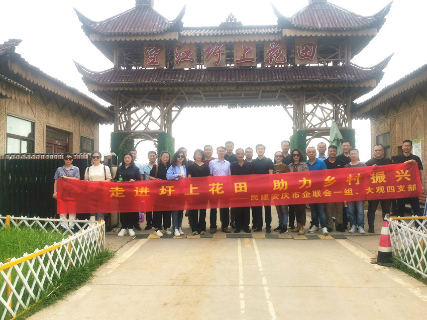 民建大观四支部联合安庆市（民建）企联会开展“走进圩上花田，助力乡村振兴”调研活动