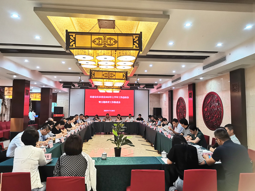 民建安庆市委会召开上半年工作总结座谈会暨“凝心铸魂强根基、团结奋进新征程”主题教育工作推进会