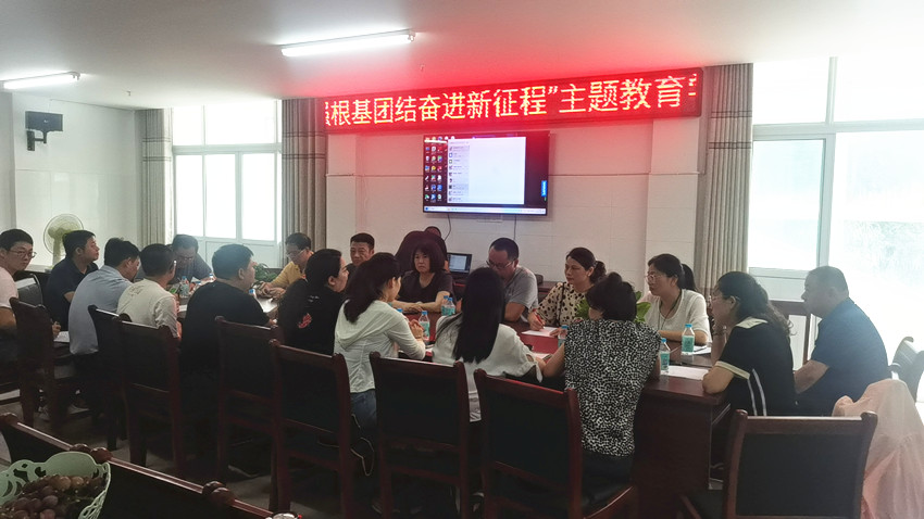 民建大观区委部分支部联合开展“凝心铸魂强根基、团结奋进新征程”主题教育活动