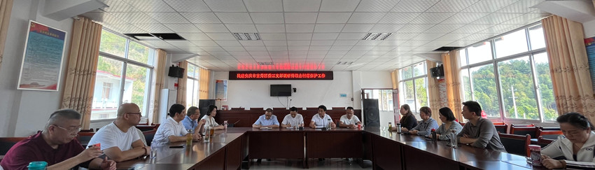 民建宜秀区委三支部开展传统古村落?；さ餮谢疃? /></span>
</p>
<p class=