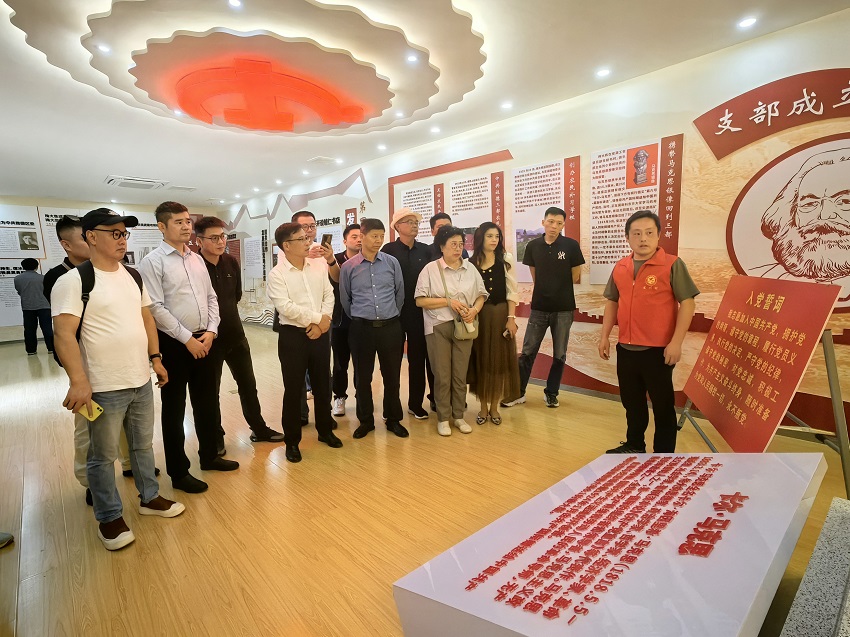 民建迎江区委六支部开展“凝心铸魂强根基 团结奋进新征程”主题教育活动