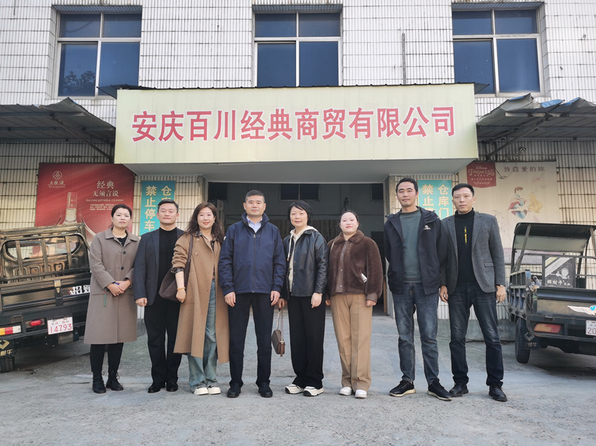 安庆市（民建）企业家联谊会走访考察企业