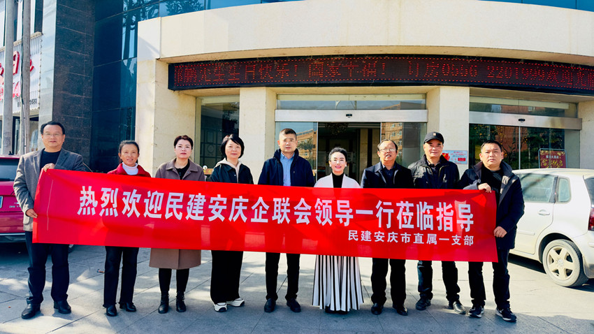 安庆市（民建）企业家联谊会走访考察企业