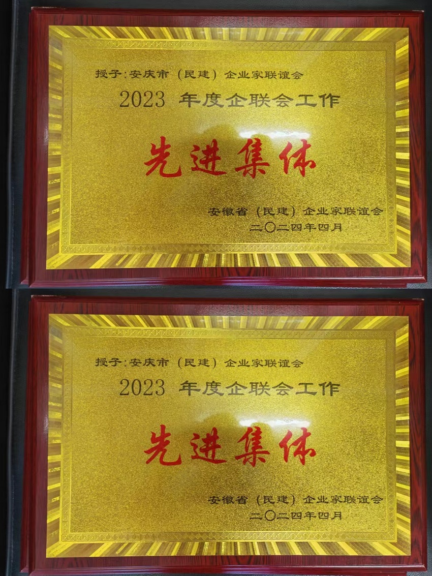 安庆民建企联会荣获安徽省民建企联会多项表彰