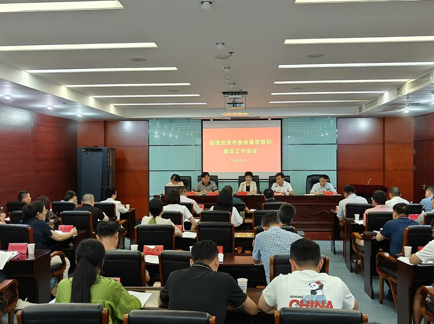 民建安庆市委会召开基层组织建设工作会议