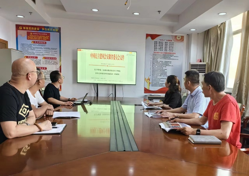 民建宜秀区委三支部组织学习民建市委会基层组织建设工作会议精神