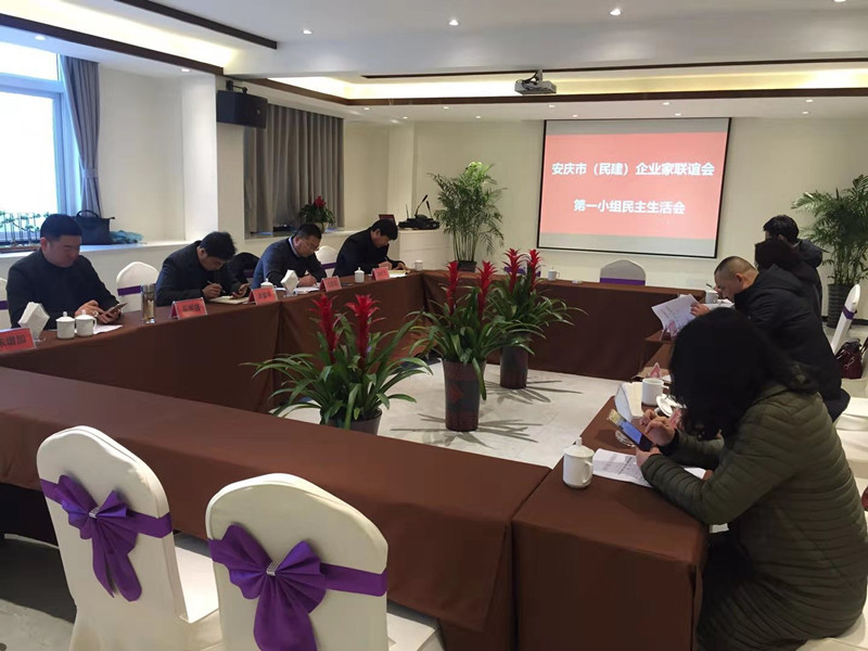 红红脸 出出汗 谈谈心 发发力 ---- 安庆市(民建)企联会第一小组民主生活会_副本.jpg