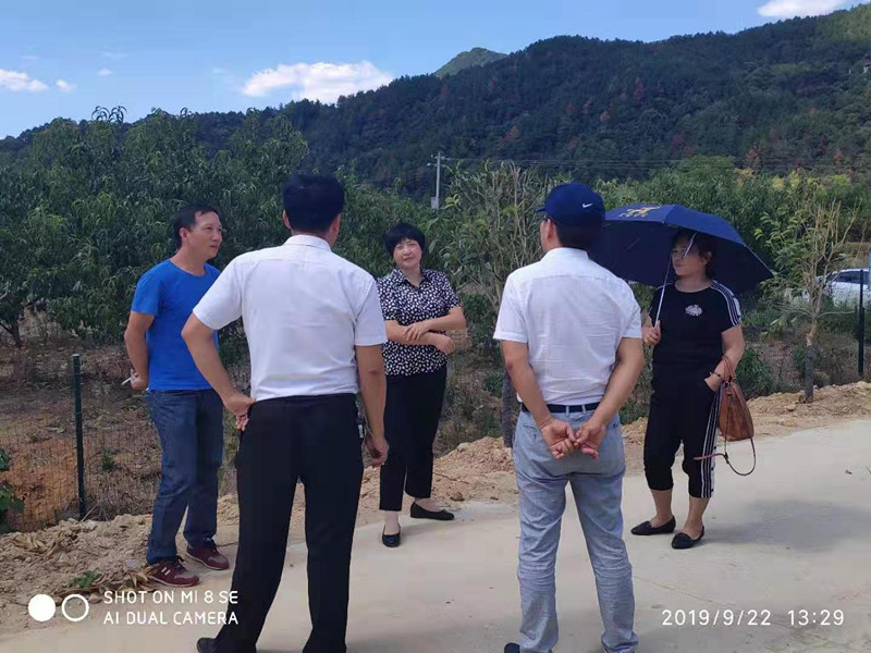 民建安庆市委赴宿松县趾凤乡趾凤村开展脱贫攻坚工作 3_副本.jpg